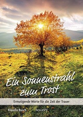 Ein Sonnenstrahl Zum Trost