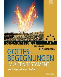 Gottesbegegnungen im Alten Testament