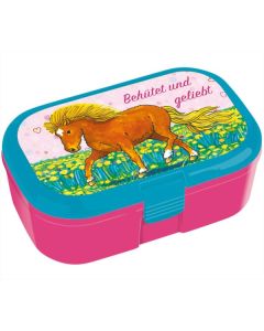 Lunchbox: Behütet und geliebt