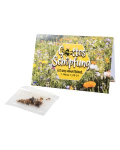 Gottes Schöpfung - Bienenwiesen Samenmischung Kärtchen