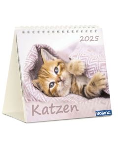 Katzen 2025 - Tischkalender