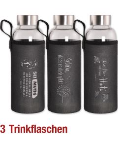 Paket 'Trinkflaschen' 3 Ex.