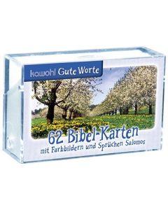 62 Bibel-Karten (Karten-Box)