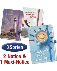 Paket 'Notizbücher' 3-teilig