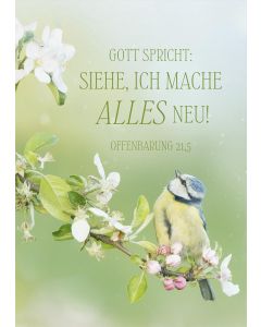 Postkarte 'Siehe, ich mache alles neu' - Vogel (12 Ex.)